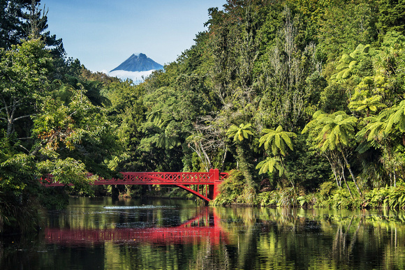 Pukekura Park with Mount Taranaki